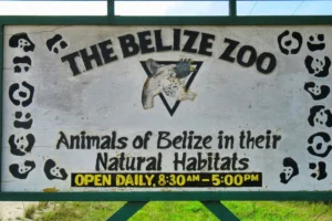 The Belize Zoo