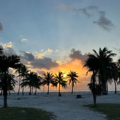 An orange sunrise over the Caribbean Sea with many palm trees in San Pedro, Belize.